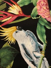 Tropical Fabric