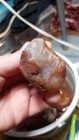 Bild 9 von 15