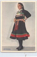 Setesdal Norway Traditional Bunad Folk Costume Woman Mittet Postcard