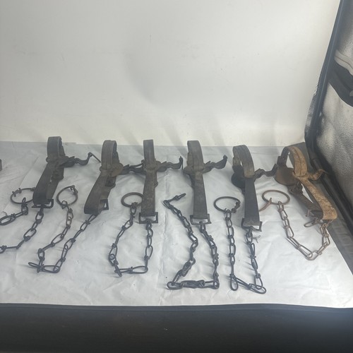 6 Vintage #1 1/2 Single Spring Traps 4 Victor 2 Blake & Lamb Primative ...