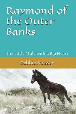 Debbie Massey Raymond of the Outer Banks (Taschenbuch)