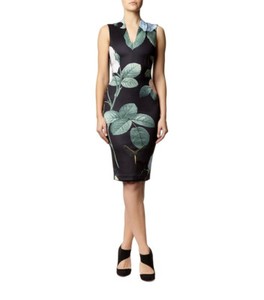ted baker distinguishing rose dress