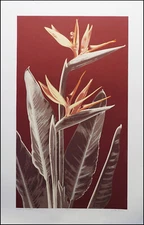 Jules Roch "Birds of Paradise" Hand Signed  Art Serigraph on Paper Make an Offer
