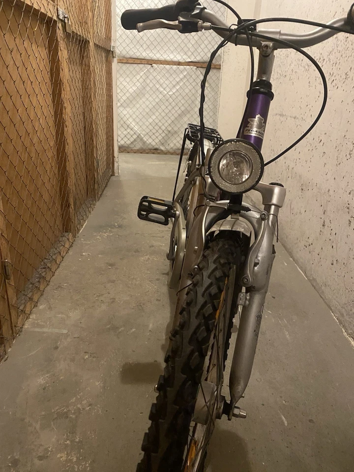 Pegasus Damenfahrrad 28“, 7 Gänge, zwei Federungen, gewartet + verkehrssicher - Bild 3 von 4