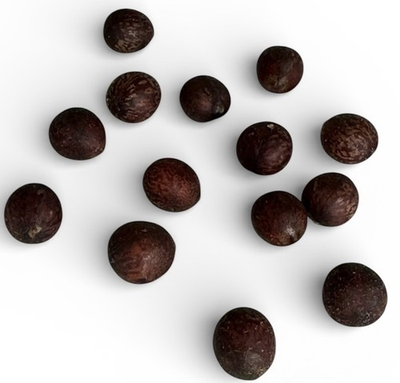 #ad #ad Laurus nobilis Bay Laurel Sweet Bay 11 Seeds Free Shipping $11.05