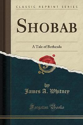 Shobab A Tale of Bethesda Classic Reprint, James A - Picture 1 of 1