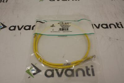 PANDUIT UTPSP3YLY 24AWG 3FT LENGTH CAT 6 CLASS NEW 244659