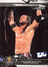 2019 Topps WWE NXT Adam Cole Wins the NXT North American Championship #14