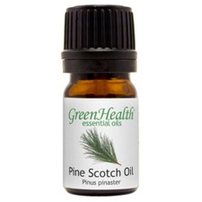 5 ml Pine Scotch Essential Oil 100 Pure  Natural - GreenHealth