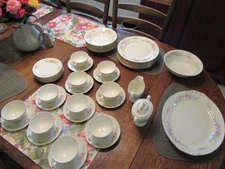 Homer Laughlin Eggshell Georgian, Cashmere 54 peice set