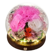 Preserved Eternal Pink Real Carnation Gift Box Long-Lasting Real Pink Carnation