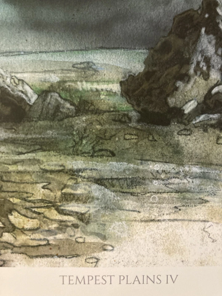 MTG✨Artist Signed PLAINS-Rocks ART PRINT & CARD✨Tempest NM/M 1997 T. Nielsen Art - Image 3 of 4