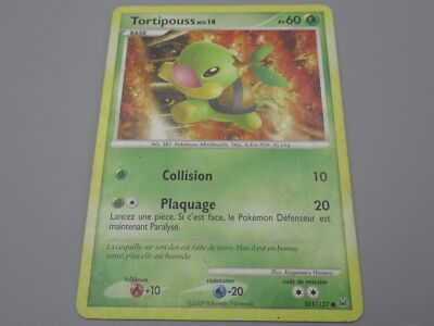 Pokemon Tortipouss Niv.14 - Base - 101/127 Rund - 2009