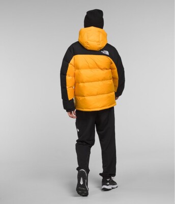 The North Face Men's HMLYN Down Parka Summit Gold US MENS SIZES