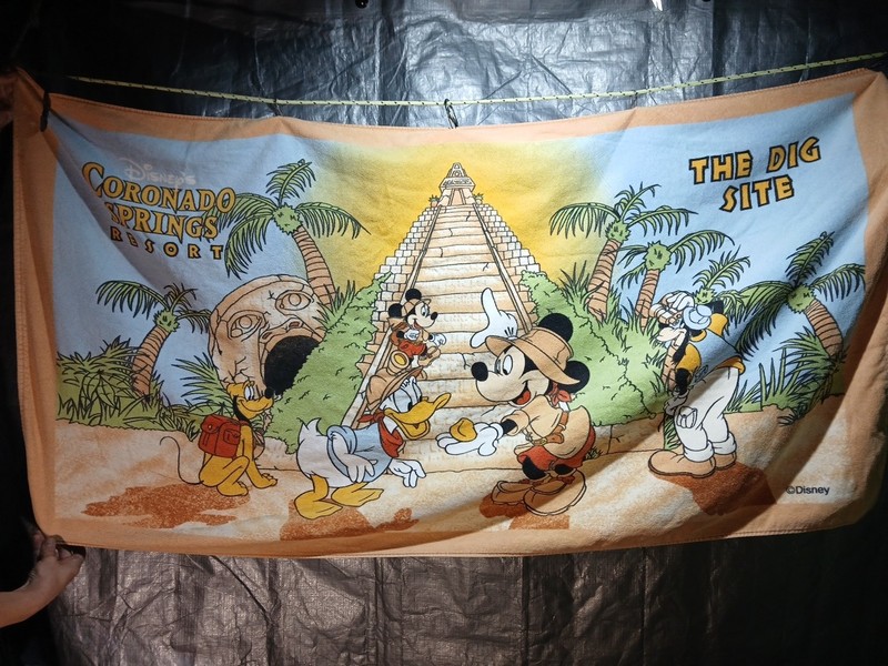 Disney Coronado Springs Resort The Dig Site *EXCLUSIVE* Concierge 32 x 61