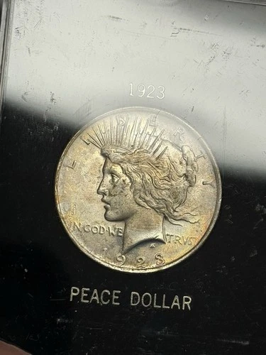 Toned AU 1923-P Peace Silver Dollar in Black Hard Case, U.S. Type Coin $1