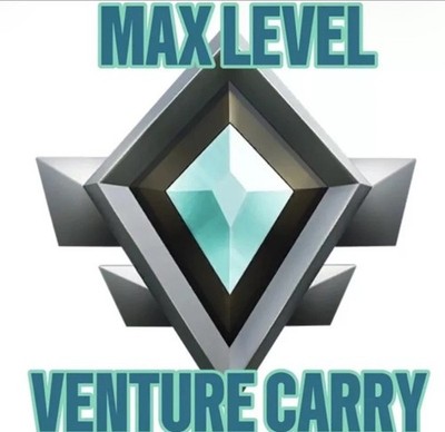 STW MAX VENTURE CARRY TO LEVEL 50