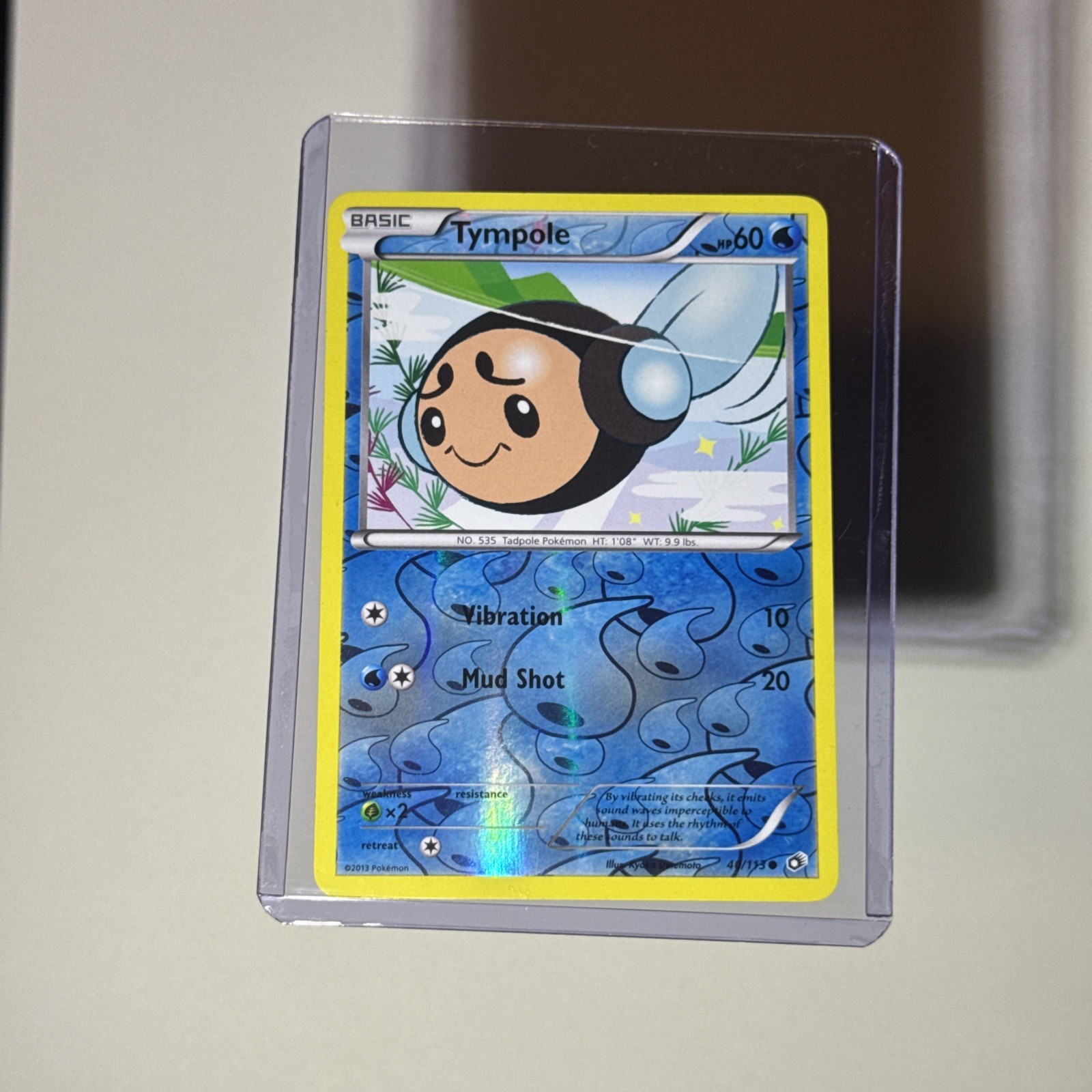 Tympole 40/113 Reverse Holo Legendary Treasures 2013 Pokemon Card NM