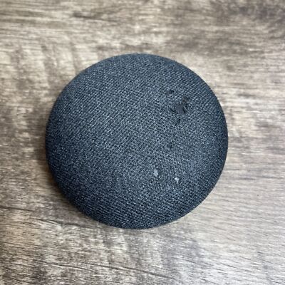 Google Assistant Echo Dot O Google Home Mini Google Home Mini With