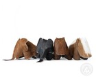 Bild 4 von 8