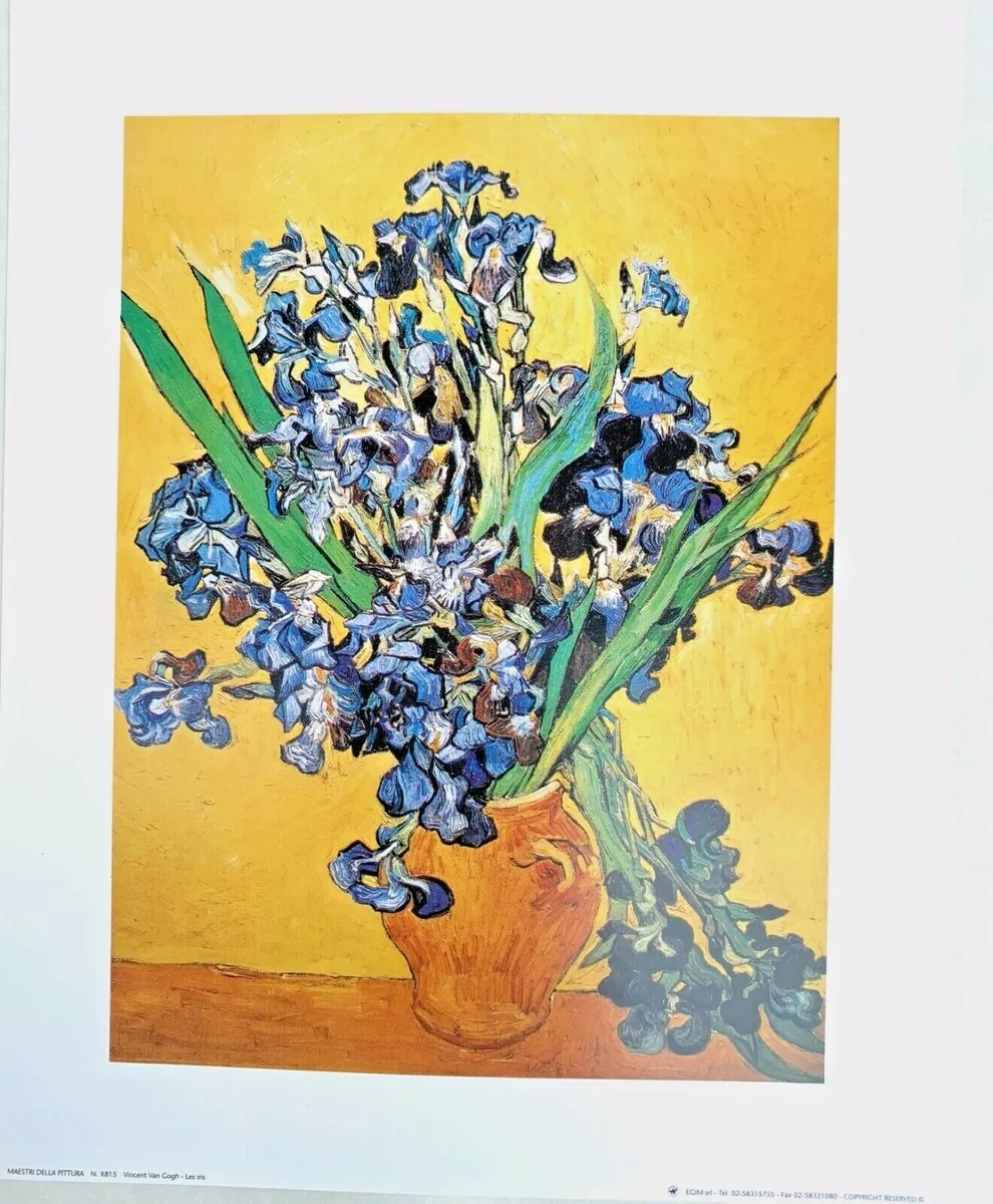 Encadr Baroque Image Van Gogh Les Iris Art Tableau Mural 45x37