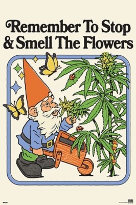 STEVEN RHODES - STOP AND SMELL THE FLOWERS - WEED POSTER 24 x 36