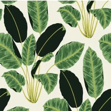 Tempaper Wallpaper Peel/Stick Moisture and Steam Resistant Double Roll 5222LV