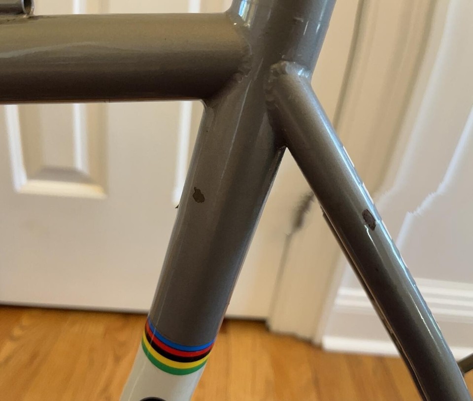 Lemond Wayzata 55cm Steel frame(Poprad geo) Funky derailleur hanger