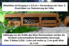 3er Welshöhle, 14 cm, variable Höhe! Zucht + Versteck, Deko Aquarium, Höhle Wels