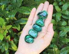 5 Malachite Tumbled Stones (Premium Quality 'A' Grade)
