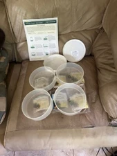 Handy Pantry Sprouting Kit-Complete Kitchen Counter Sprout Garden