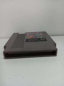 wizards and warriors nes tested 1987