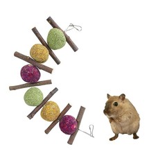 Jouets à mâcher pour lapin, jouets pour hamster en bois naturel, jouets à