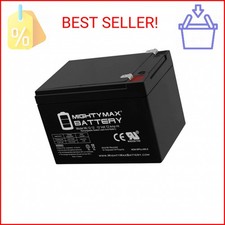 Mighty Max Battery 12V 12AH F2 Replacement Battery compatible with KID TRAX Ride