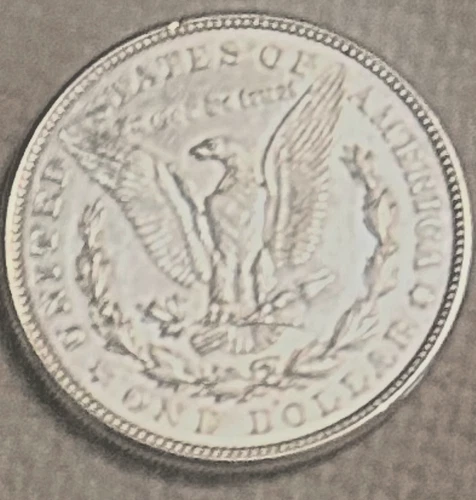 1921 D Morgan Brilliant luster AU/BU beautiful, free shipping Sigma test genuine