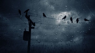 Anime rain birds power lines animals dark depressing Play Gaming Mat Desk Game