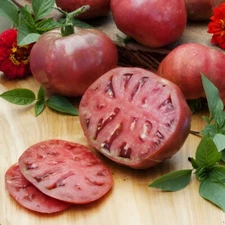 100 Heirloom Purple Cherokee Tomato Seeds - NonGMO Free Shipping! Indeterminate