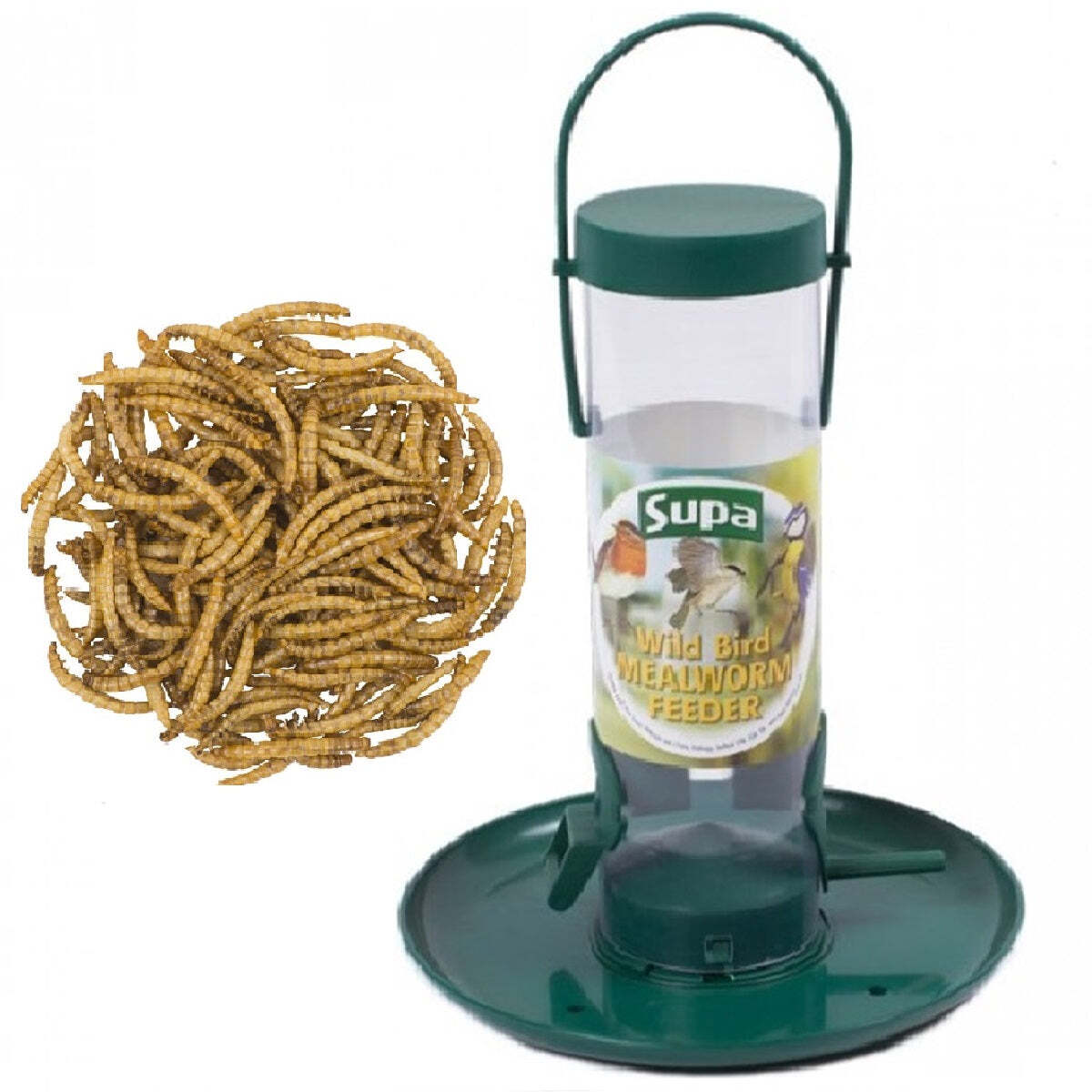 MEALWORM FEEDER - (8"" inch) - Wild Bird Feed Holder Food Tray Scrap Bowl Feeding