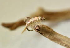 12 Flies Scuds Nymph Fly Fishing - Tan - Mustad Signature Hooks