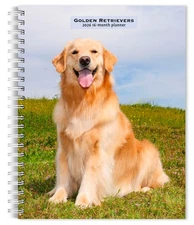 Golden Retrievers | 2026 6x7.75" Spiral-Bound Wire-O Weekly Engagement Planner