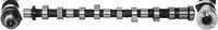 Nockenwelle Ae CAM943 FüR Pick Pathfinder Up Nissan R51 NP300 D23 Navara D40 3 1