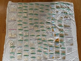 LEGO Creator Expert 10189 Taj Mahal &ndash; Complete w/ Box, Manuals & Sorted Parts