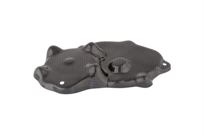 Kawasaki Ninja ZX6R ZX636 2009-2025 Lightech Carbon Fiber Pickup Cover New