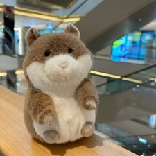 ジェリーキャット ゴージャスギニアピッグ ゴージャス モルモット