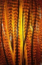 Feather Hair Extension Long Halloween Remix of 5 Genuine Orange,Grizzly feathers