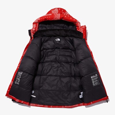 The North Face Korea NOVELTY ULTIMATE DOWN JACKET NJ2DN63B RIO_RED