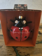 John Derian Ladybug Ornament