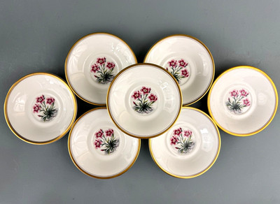 7 VTG 1961 Royal Worcester Alpine Flowers Saucers ONLY for Irish Coffee Cup 5''