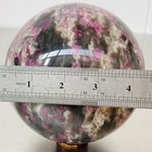 Bild 12 von 12