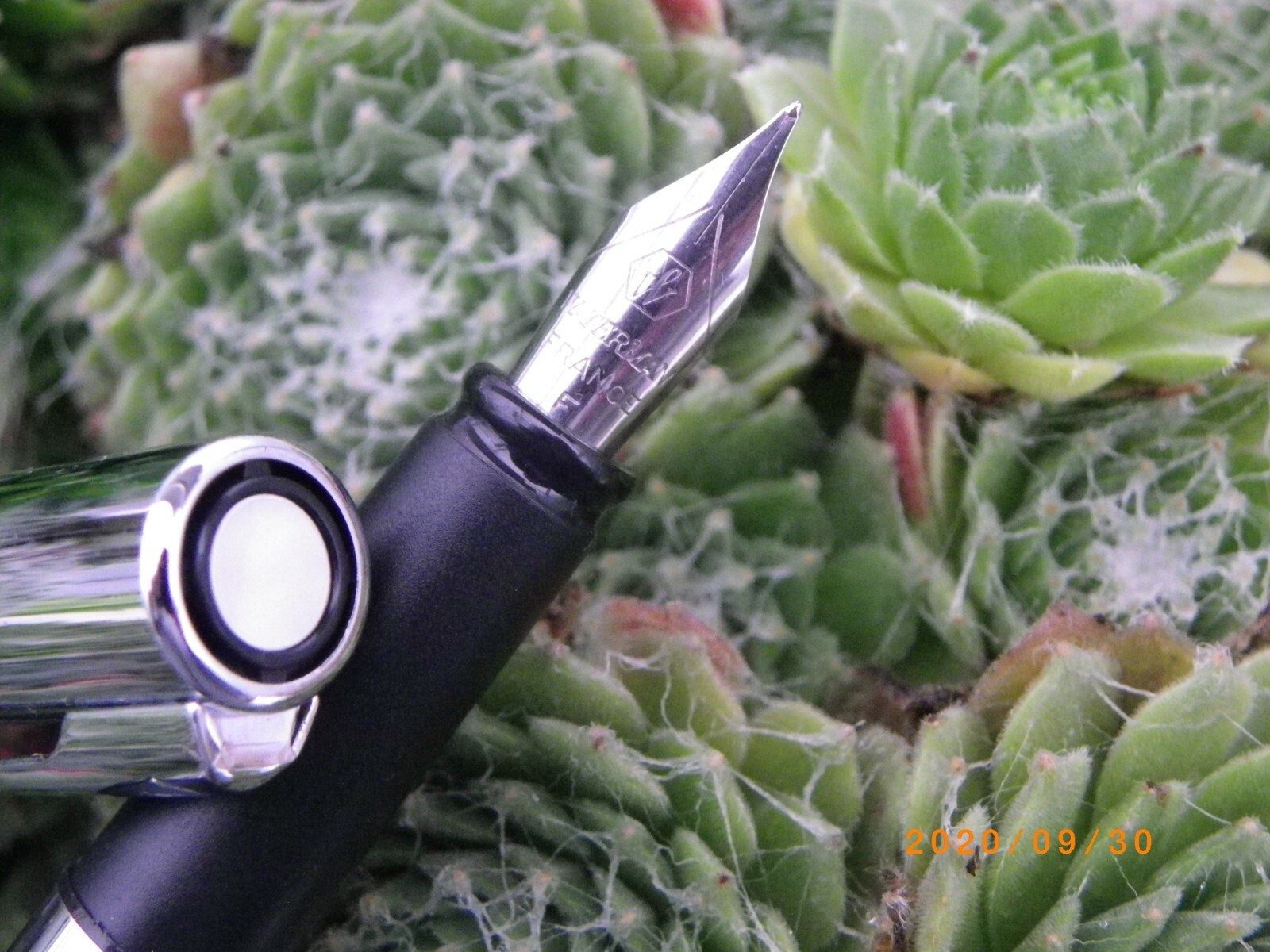 Stylo plume Waterman Allure acier pour journal intime et réunions de bureau